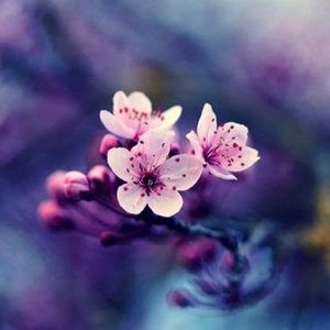 Meet your Posher, Joellee